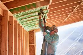 Best Insulation for New Construction  in Richardson, TX