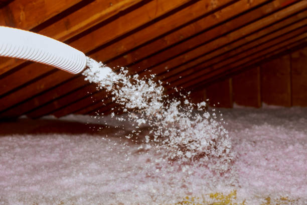 Best Attic Insulation Installation  in Richardson, TX